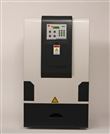 JP-K300ECL成像系统